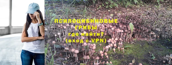 тгк Гусиноозёрск