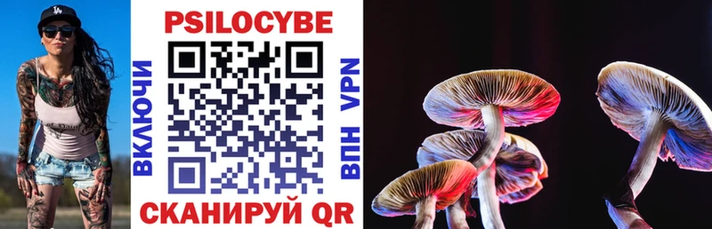 Купить где  Краснознаменск  Галлюциногенные грибы GOLDEN TEACHER 